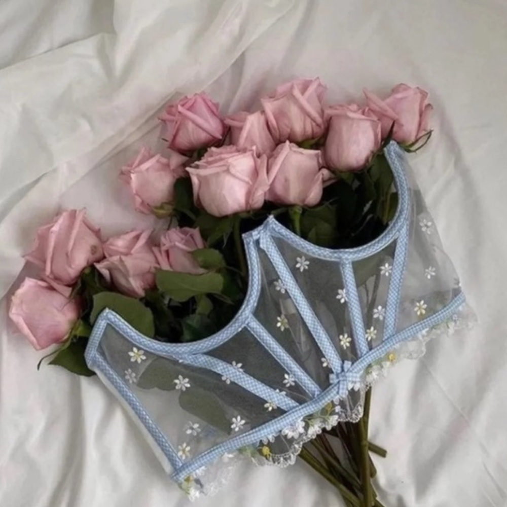 FOR LOVE & LEMONS Charlie Corset